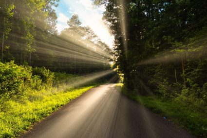 👑 EL REY VIENE PRONTO | 24.04.2026 | 🐑 La voz del Pastor: orientación en el tiempo del fin