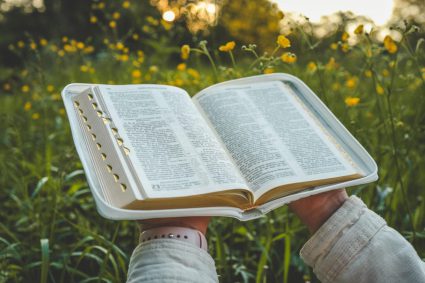 🌱VIDA DE FE VIVA | 📚 Lección 5: Cómo estudiar la Biblia | 5.6 Resumen | 🌱 CRECIENDO EN NUESTRA RELACIÓN CON DIOS