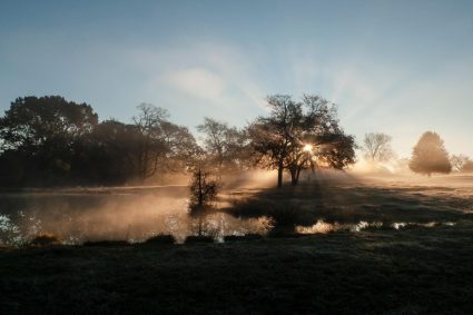 💧LA INTELIGENCIA SILENCIOSA DEL CUERPO | ☀️ 3. Por qué la luz tiene más influencia que la alimentación | 🧠 Serie 1: Los fundamentos del orden biológico