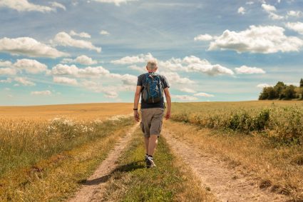 💧LA INTELIGENCIA SILENCIOSA DEL CUERPO | 🚶 6.Por qué tu cuerpo necesita movimiento – no entrenamiento | 🧠 Serie 1: Los fundamentos del orden biológico